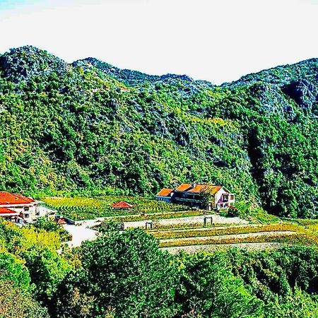 Eco Winery Lipovac Apartments سيتينيي المظهر الخارجي الصورة