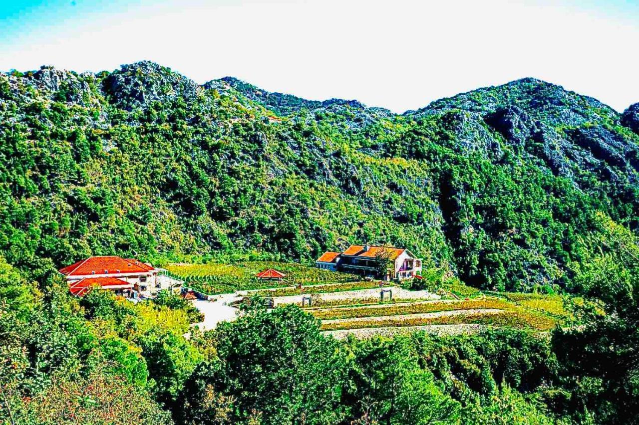 Eco Winery Lipovac Apartments سيتينيي المظهر الخارجي الصورة